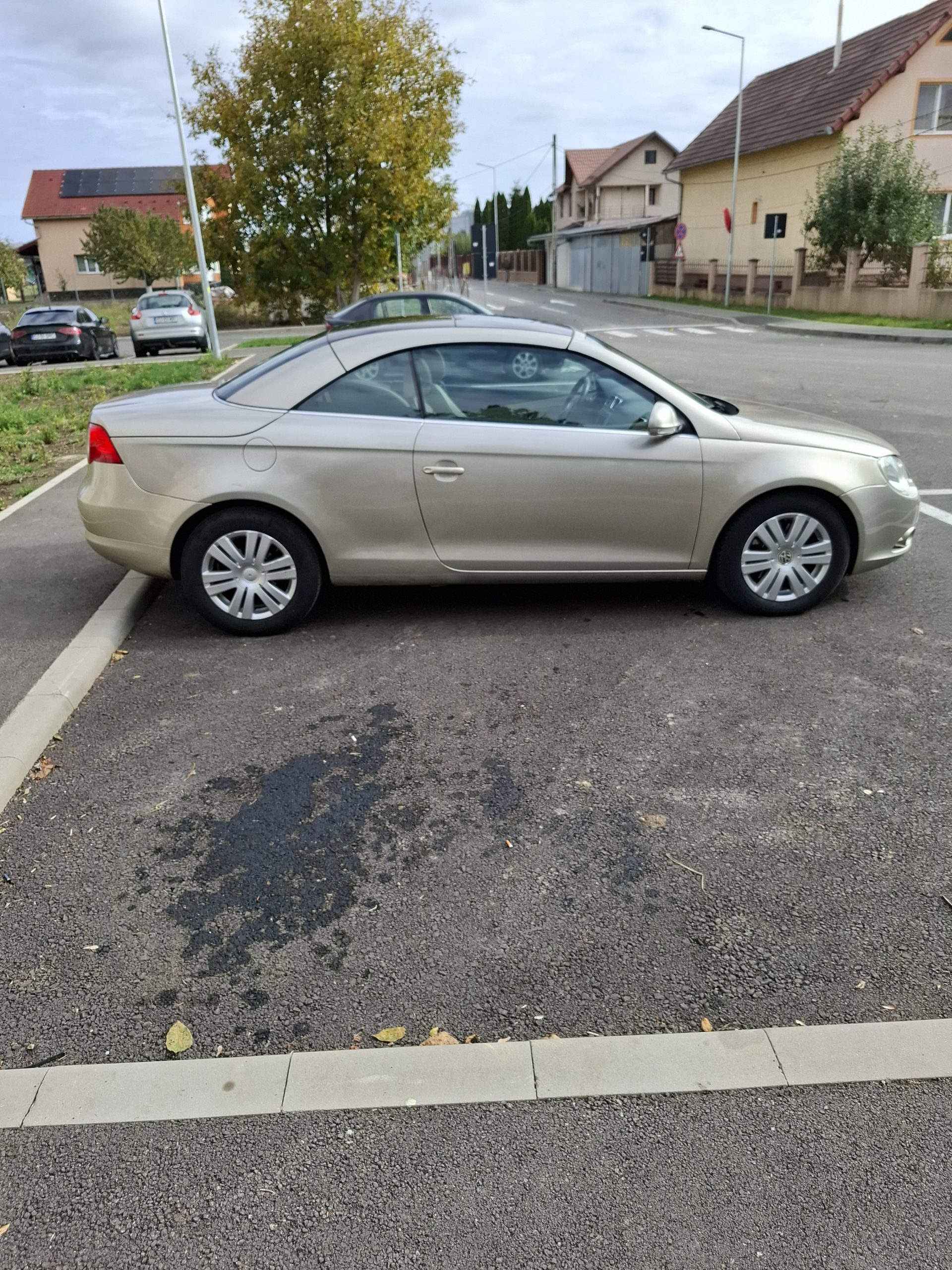 1761031233_1000075251
